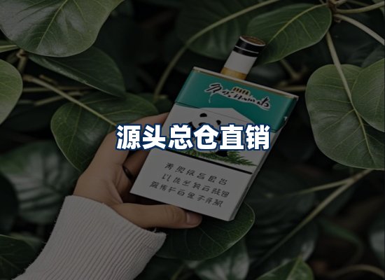 专业团队办公环境
